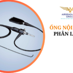 ỐNG NỘI SOI MỀM PHÂN LOẠI GÌ?