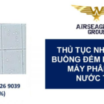 thu tuc nhap khau buong dem dung cho may phan tich nuoc tieu