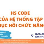 thu tuc nhap khau he thong phuc hoi chuc nang