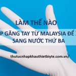 thu tuc nhap gang tay tu malay de xuat my