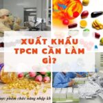 Mùa hè sôi động