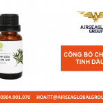 CÔNG BỐ CHẤT LƯỢNG TINH DẦU TRÀM