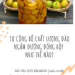 Tự công bố chất lượng đào ngâm đường đóng hộp như thế nào_