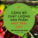 Hồ sơ đăng ký bản công bố sản phẩm đối với sản phẩm nhập khẩu (4)