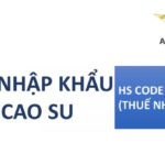 thu tuc nhap khau bao cao su