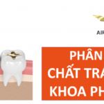 thu tuc nhap khau chat tram nha khoa phuc hoi