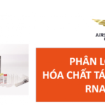 thu tuc nhap khau hoa chat tach chiet RNA