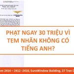 xu phat tem nhan theo nghi dinh 43