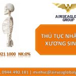 THỦ TỤC NHẬP KHẨU XƯƠNG SINH HỌC