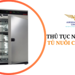 thu tuc nhap khau tu nuoi cay te bao