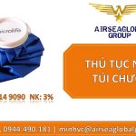 THỦ TỤC NHẬP KHẨU TÚI CHƯỜM