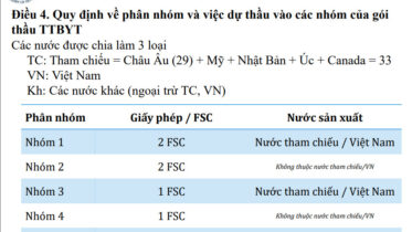 Phân nhóm thầu