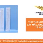 THỦ TỤC NHẬP KHẨU QUE DỊCH TỊ HẦU / QUE LẤY MẪU BỆNH PHẨM, ỐNG ĐỰNG MẪU DÙNG TRONG Y TẾ MỚI NHẤT NHAP KHAU TBYT THU0338188849