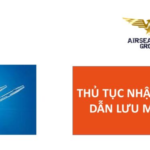 thu tuc nhap khau ong dan luu mang phoi