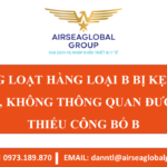 HÀNG LOẠT HÀNG LOẠI B BỊ KẸT TẠI CẢNG, KHÔNG THÔNG QUAN ĐƯỢC DO THIẾU CÔNG BỐ B