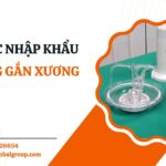 XI MĂNG GẮN XƯƠNG