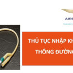 thu tuc nhap khau ong thong duong tieu