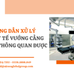 HƯỚNG DẪN XỬ LÝ HÀNG Y TẾ VƯỚNG CẢNG KHÔNG THÔNG QUAN ĐƯỢC - DẠ THU 0338188849