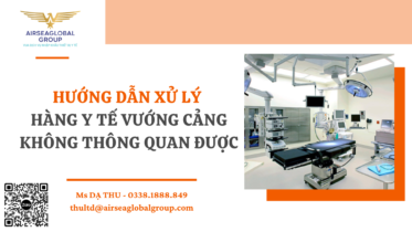 HƯỚNG DẪN XỬ LÝ HÀNG Y TẾ VƯỚNG CẢNG KHÔNG THÔNG QUAN ĐƯỢC - DẠ THU 0338188849