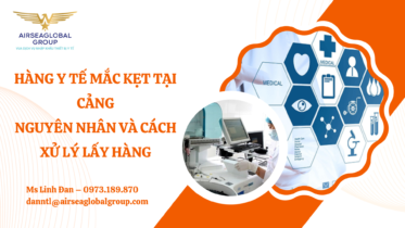 HƯỚNG DẪN XỬ LÝ HÀNG Y TẾ VƯỚNG CẢNG - MS LINH ĐAN 0973189870