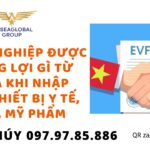 kinh nghiệm nhập EVFTA