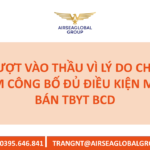 Trượt thầu vì thiếu công bố đủ điều kiện mua bán BCD