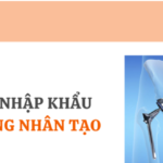 thu tuc nhap khau khop hang nhan tao