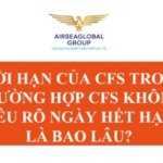 THỜI HẠN CỦA CFS TRONG TRƯỜNG HỢP CFS KHÔNG NÊU RÕ NGÀY HẾT HẠN