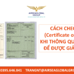 CÁCH CHECK CO (Certificate of Origin) KHI THÔNG QUAN HÀNG ĐỂ ĐƯỢC GIẢM THUẾ