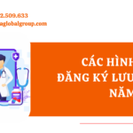 Bản sao của LARANA (1)