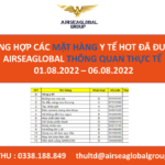 TỔNG HỢP CÁC MẶT HÀNG Y TẾ HOT ĐÃ ĐƯỢC AIRSEAGLOBAL THÔNG QUAN THỰC TẾ