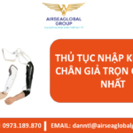 THỦ TỤC NHẬP KHẨU TAY CHÂN GIẢ TRỌN GÓI MỚI NHẤT - MS LINH ĐAN 0973.189.870