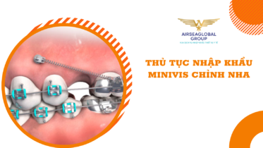 thu tuc nhap khau minivis chinh nha