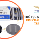 thu tuc nhap khau kim cham cuu