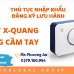 thutucnhapkhau thutucdangkysoluuhanhmay hosoluuhanhmayxquangrangcamtay