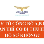 GIẤY TỜ CÔNG BỐ A B HẾT HẠN THÌ CÓ BỊ THU HỒI HỒ SƠ KHÔNG?