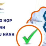 CÁC TRƯỜNG HỢP CẤP NHANH SỐ LƯU HÀNH