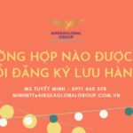 truong hop nao duoc sua doi dang ky luu hanh