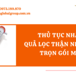 THỦ TỤC NHẬP KHẨU QUẢ LỌC THẬN NHÂN TẠO TRỌN GÓI MỚI NHẤT - MS LINH ĐAN 0973.189.870