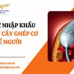 Vật liệu cấy ghép cơ thể người