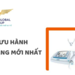 thu tuc nhap khau may nho rang