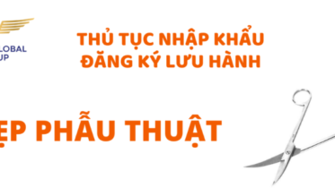 thu tuc nhap khau kep phau thuat
