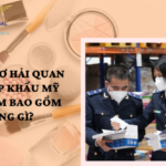 HỒ SƠ HẢI QUAN NHẬP KHẨU MỸ PHẨM