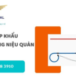 thu tuc nhap khau ong thong nieu quan