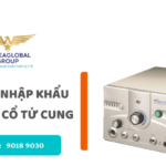 thu tuc nhap khau may dot co tu cung