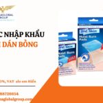 PHIM DÁN BỎNG