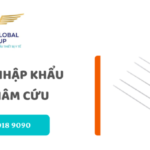 thu tuc nhap khau kim cham cuu