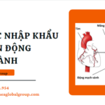 THỦ TỤC NHẬP KHẨU DÂY DẪN ĐỘNG MẠCH VÀNH