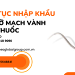 THỦ-TỤC-NHẬP-KHẨU-GIÁ-ĐỠ-MẠCH-VÀNH-PHỦ-THUỐC